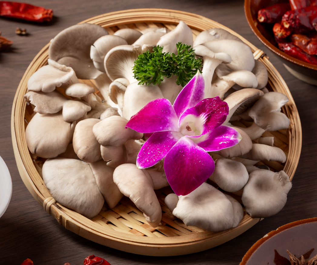 83鲍鱼菇